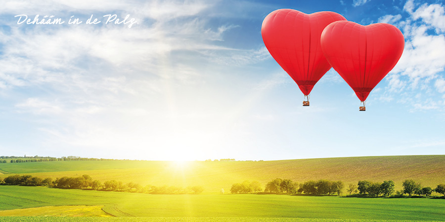 header_pic-aktion_tablet